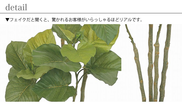 お手入れ不要！,フェイクグリーンセット,ウンベラータ,ディテイル