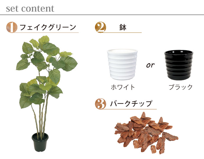 お手入れ不要！,フェイクグリーンセット,ウンベラータ,セット内容