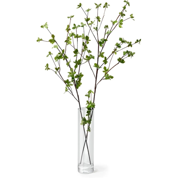 お手入れ不要！ドウダンツツジ Water H100cm